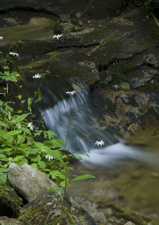 Stream in mountainsの写真素材