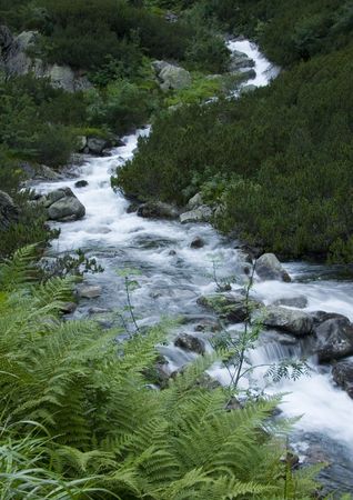Stream in mountainsの写真素材