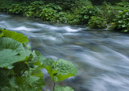 Stream in mountains