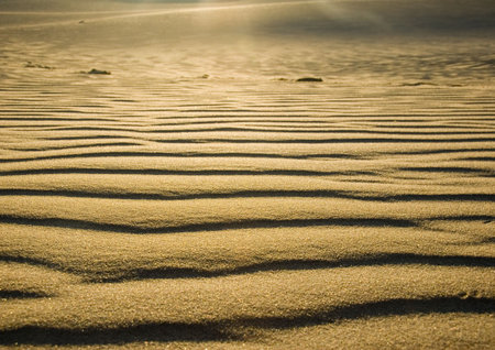 Sand Dunes
