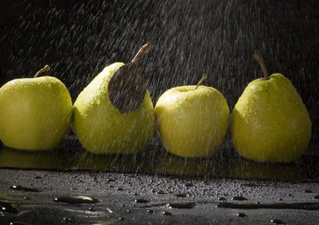 Pear is a fruit that has a yellow or green skin and is white inside. Pears are thinner at the top (i.e. where they join onto the tree) than at the bottom.の写真素材