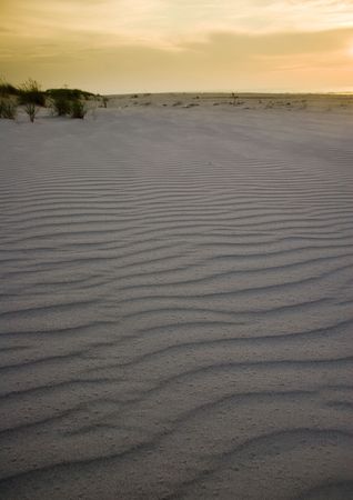 Beachの写真素材