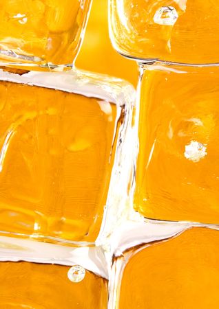 Honey is a sweet and viscous fluid produced by bees and other insects from the nectar of flowers.の写真素材