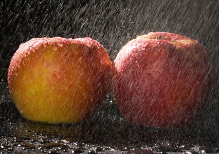 Apples are hard, round fruits with a smooth green, red or yellow skins. They are found in the sphere of temperate climates.の写真素材