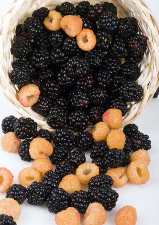 The blackberryの写真素材
