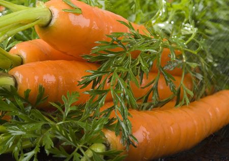 The carrot is a root vegetable, typically orange or white in colour with a woody texture.の写真素材