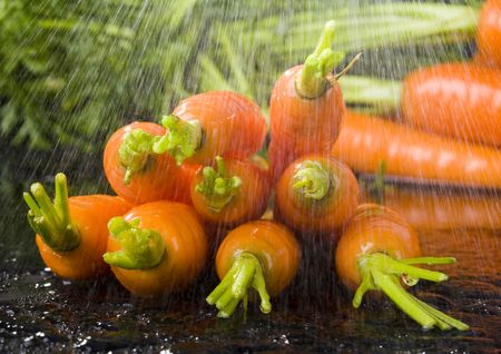 The carrot is a root vegetable, typically orange or white in colour with a woody texture.の写真素材
