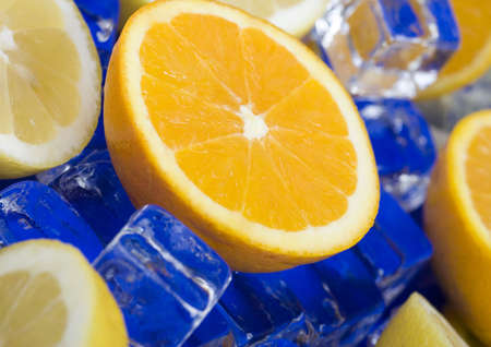 Lemon & Orangeの写真素材