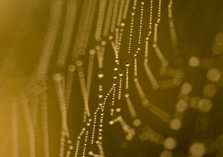 Waterの写真素材