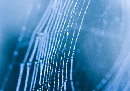 Dropsの写真素材