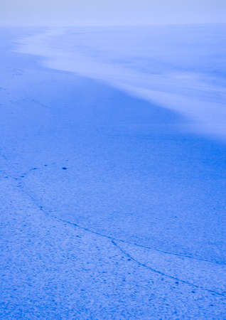 Beachの写真素材