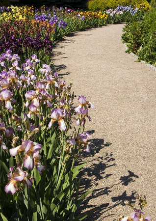 Flowersの写真素材