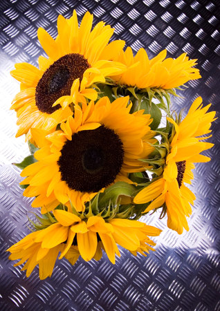 Flowersの写真素材