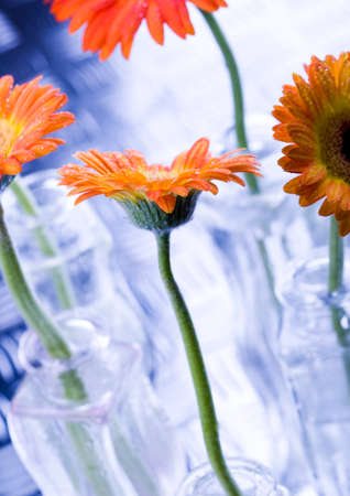 Flowerの写真素材