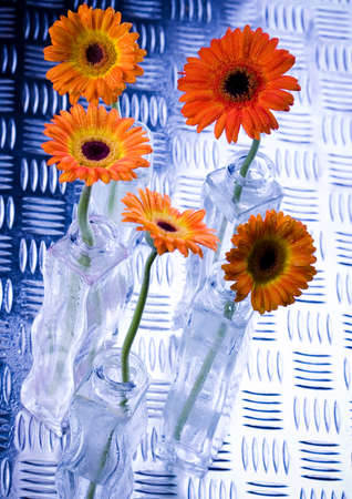 Bouquet of gerbersの写真素材