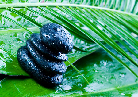 Leaf & Stonesの写真素材