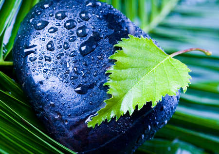 Beautyの写真素材