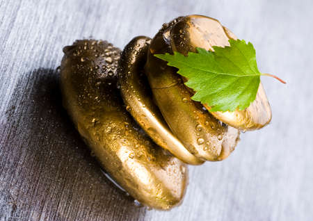 Natural beautyの写真素材