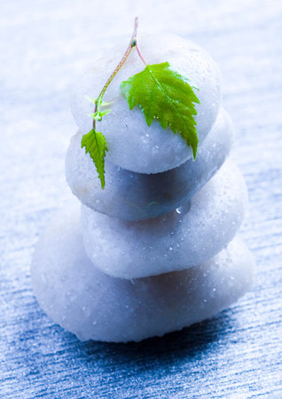 Beautyの写真素材