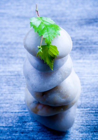 Beautyの写真素材