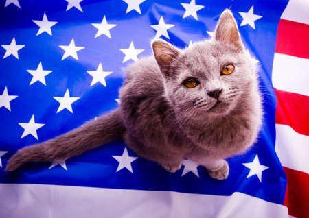 U.S. Animalの写真素材