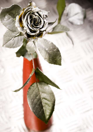 Flowerの写真素材