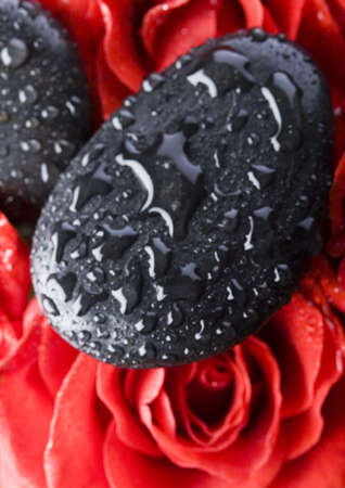 Zen rosesの写真素材