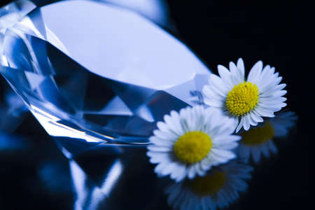 Natural jewel - Diamond   の写真素材