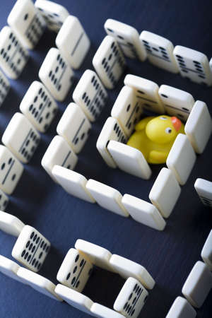 Domino pieces & Labyrinthの写真素材