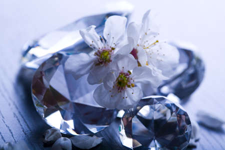 Natural jewel - Diamond の写真素材