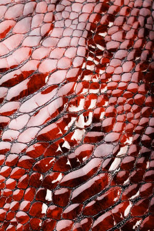 Leather の写真素材