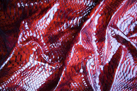 Leather & Textureの写真素材