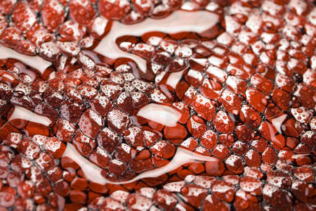 Water の写真素材