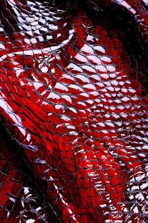 Leatherの写真素材