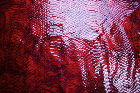 Leatherの写真素材