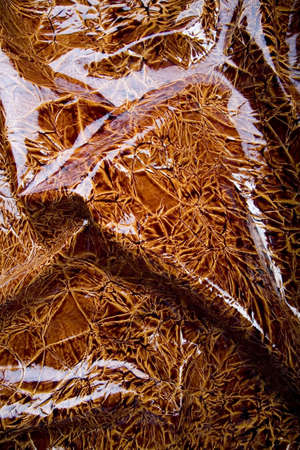 Snakeskinの写真素材