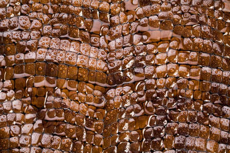 Water & Leather materialの写真素材