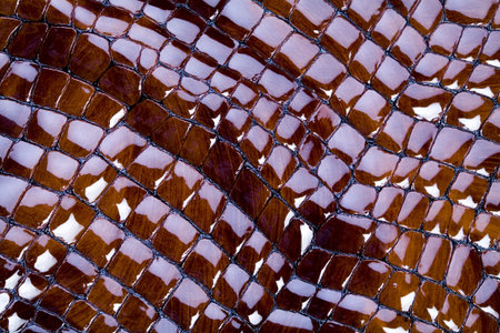 Leather & Texture