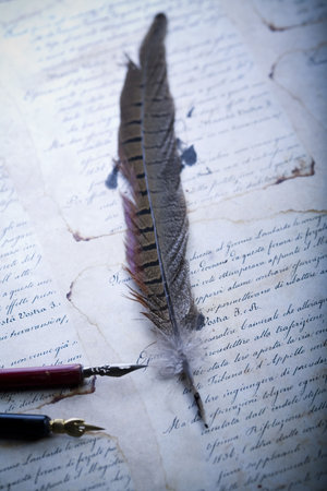 Pen