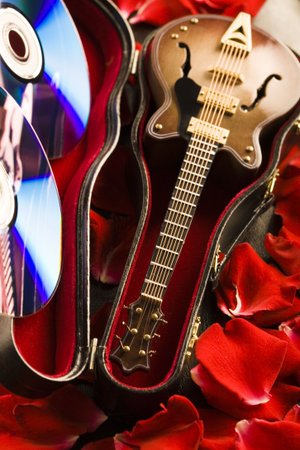 Guitar & Petals of rose の写真素材