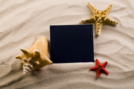 Summer paper letter with shell  の写真素材