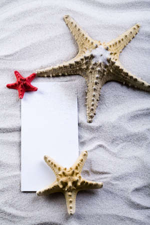 Summer paper letter with shell  の写真素材
