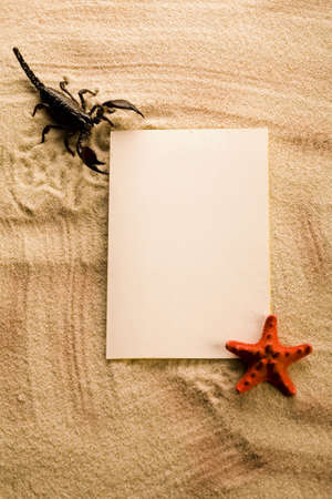 Frame from holidays & Scorpion の写真素材