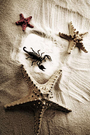 Holiday beach concept の写真素材