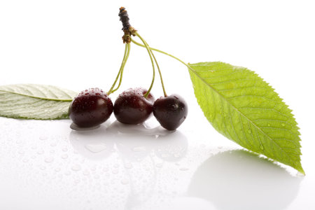 Wild cherries on the white background 