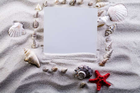 Summer paper letter with shell  の写真素材