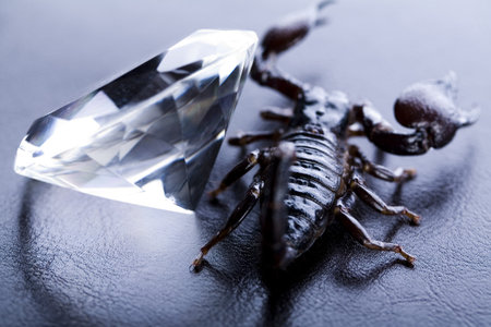 Diamond and Scorpion 