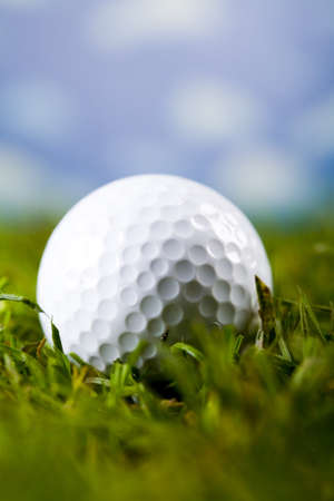 Golf ball in grass の写真素材