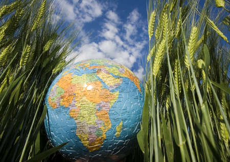 World の写真素材