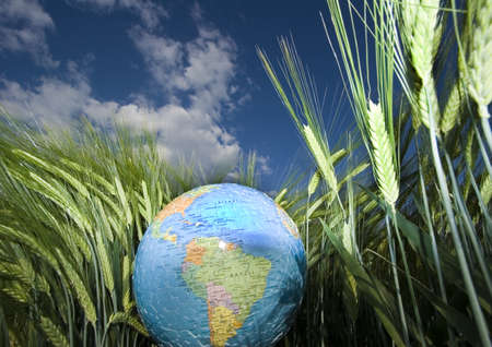 Globeの写真素材